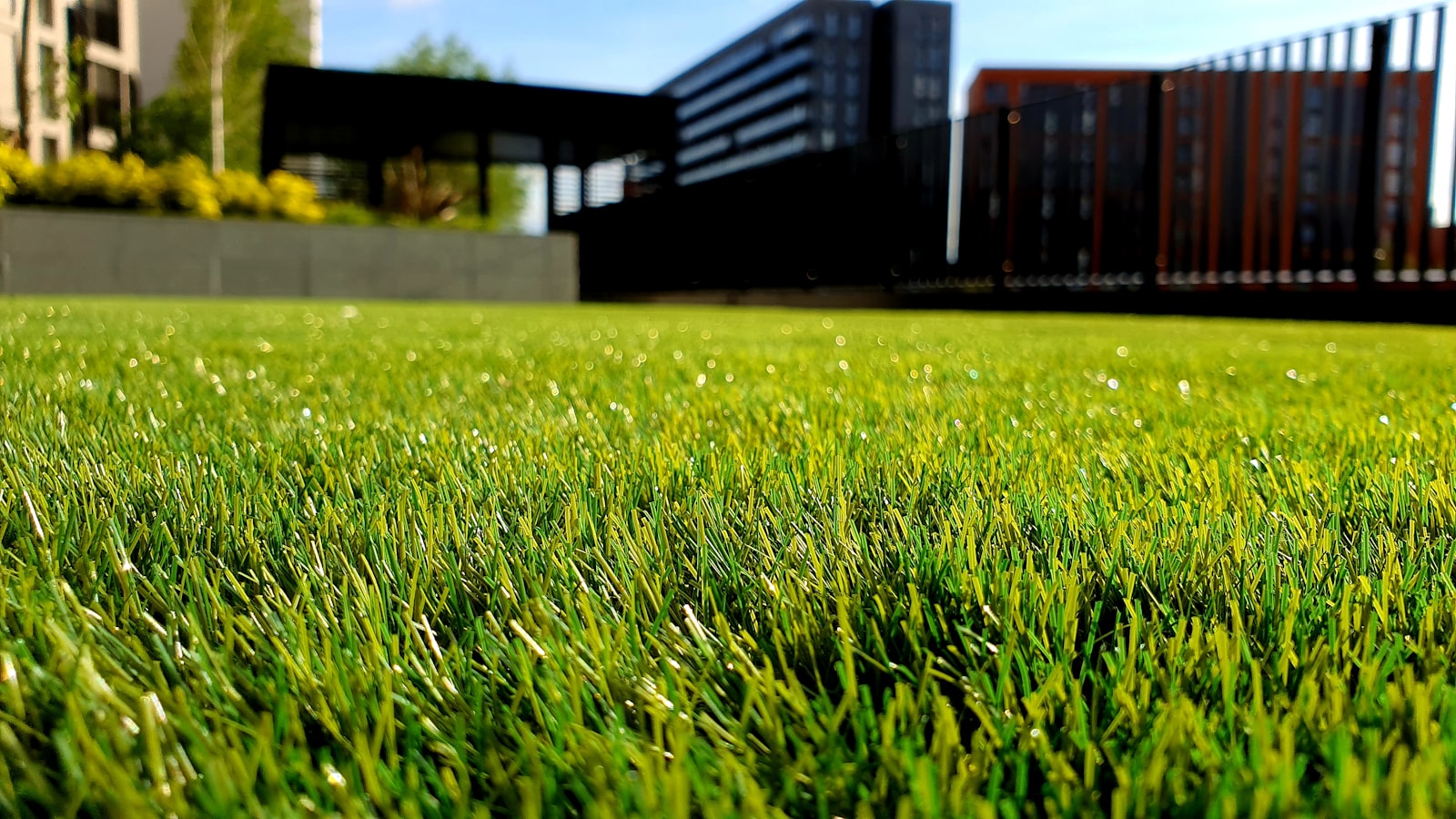 Landscaping & Seasonal Upkeep